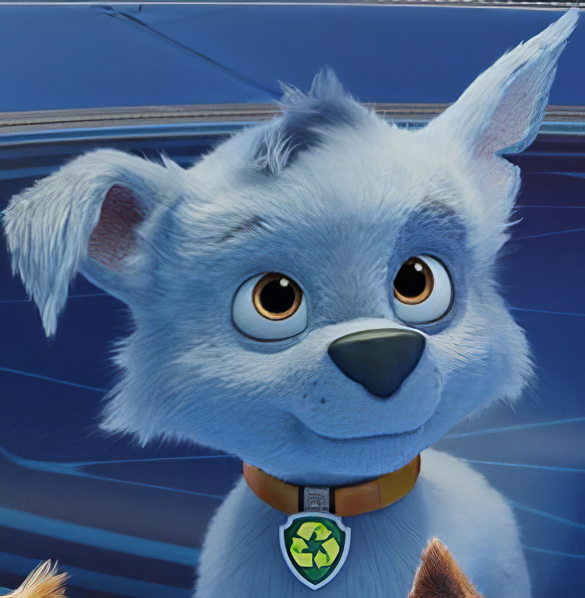 Rocky the dog avatar